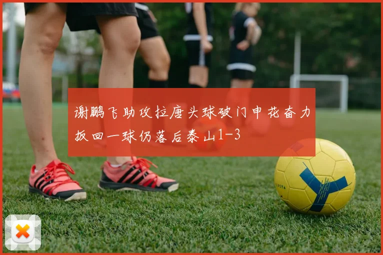 谢鹏飞助攻拉唐头球破门申花奋力扳回一球仍落后泰山1-3